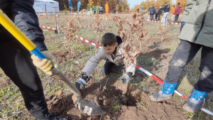 Zukunft pflanzen, Wurzeln schlagen